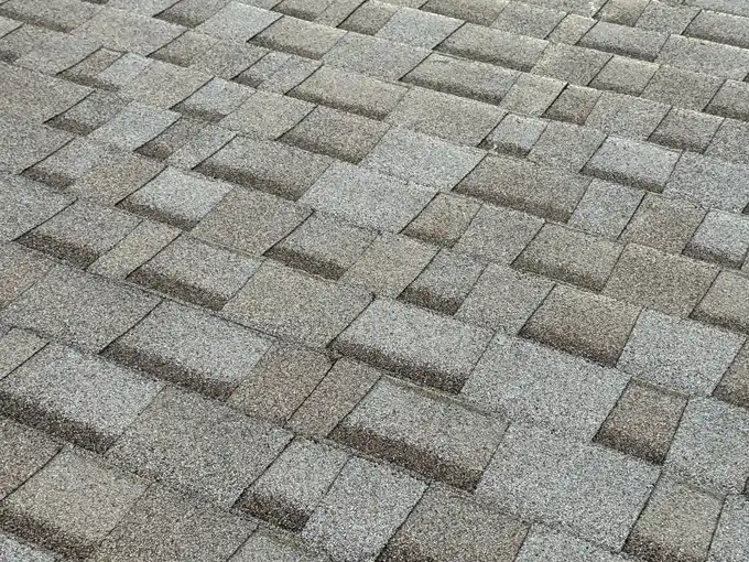 Asphalt shingle roof texture detail