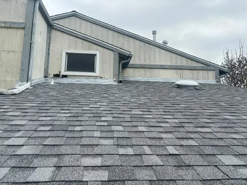 Gray asphalt shingle roof field and detail
