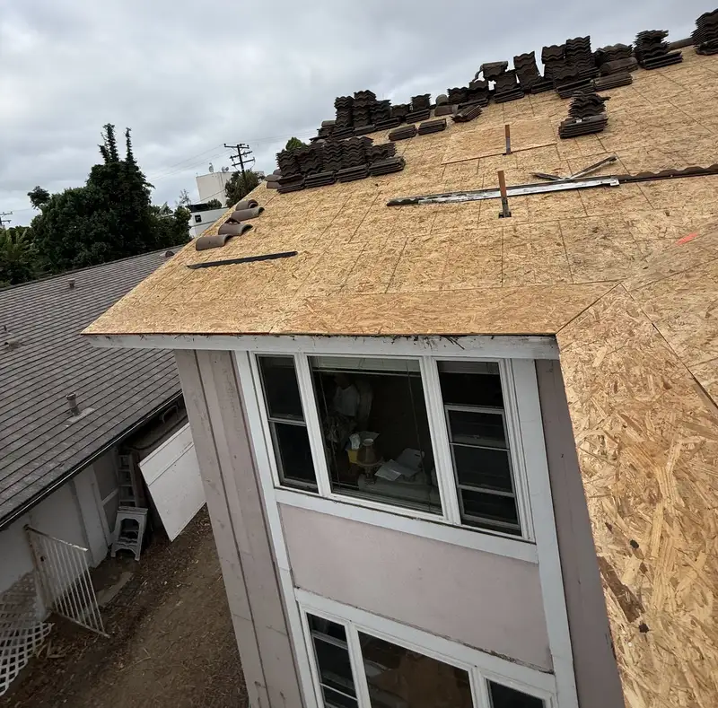 Exposed roof sheathing beside an adjoining shingle roof